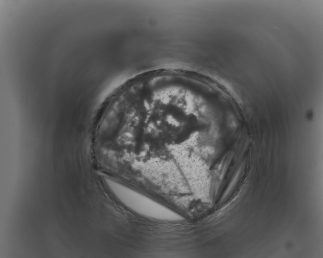 X0000094191263200711241607