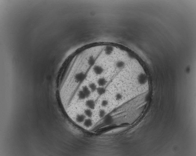 X0000094191264200711241607