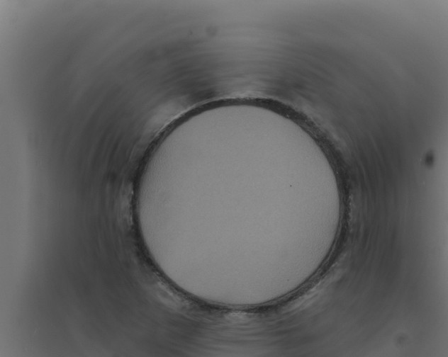 X0000094191265200711241607