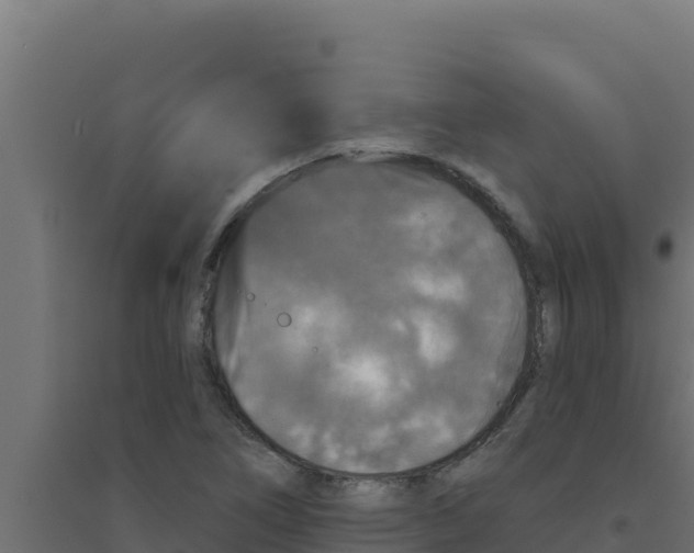 X0000094191266200711241607