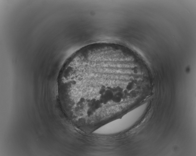 X0000094191267200711241607