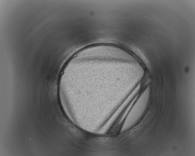 X0000094191268200711241607