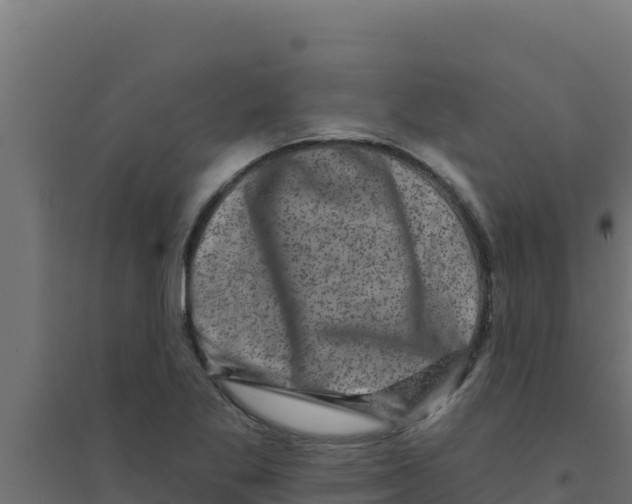 X0000094191269200711241607