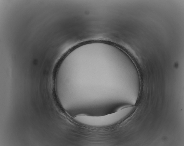 X0000094191270200711241607