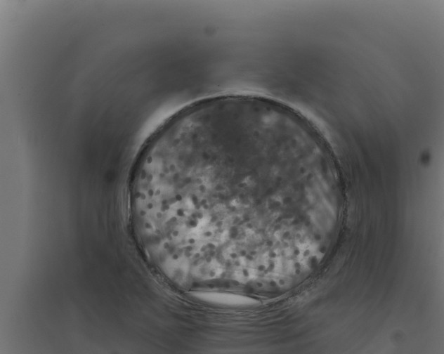 X0000094191271200711241607