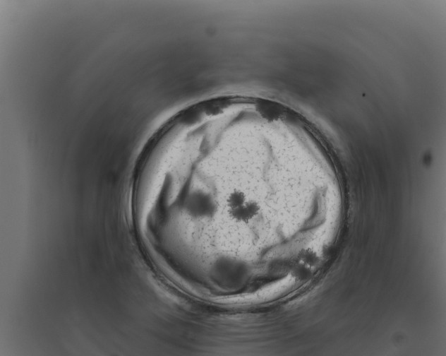 X0000094191272200711241607