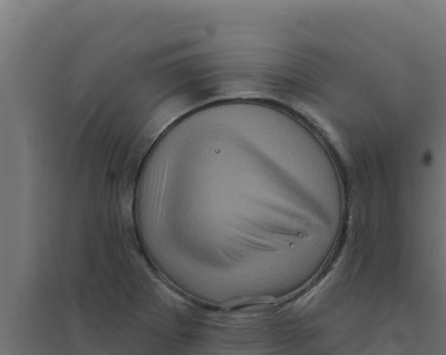 X0000094191273200711241607