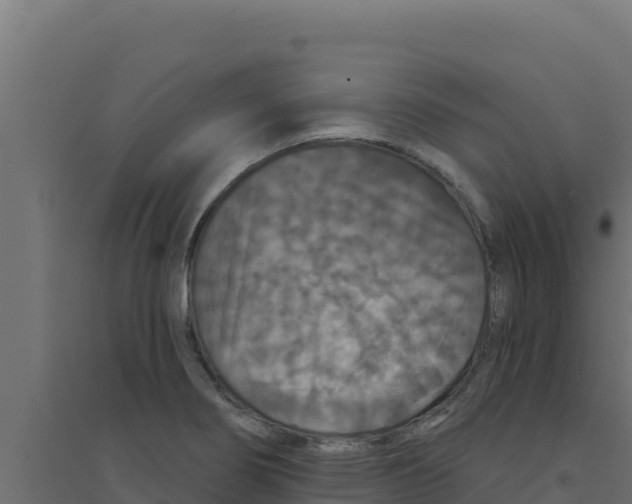 X0000094191274200711241607