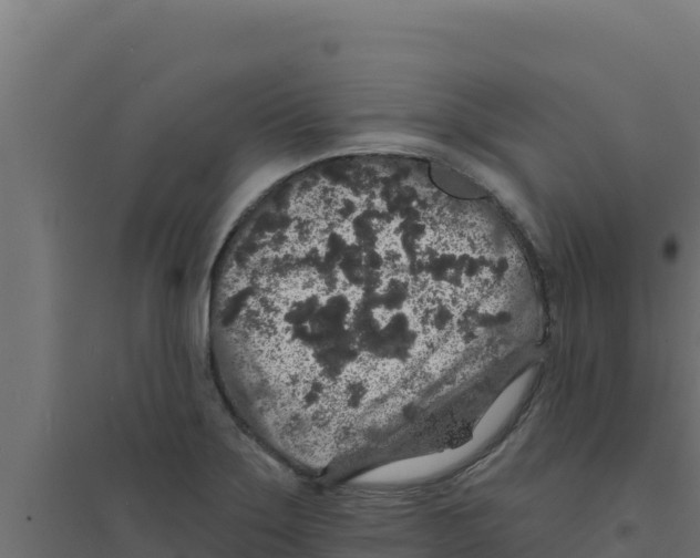 X0000094191275200711241607