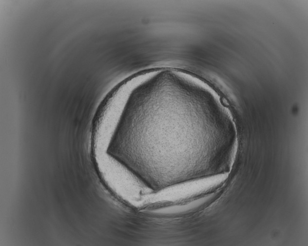 X0000094191276200711241607