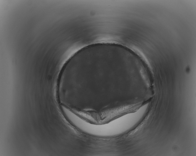 X0000094191277200711241607