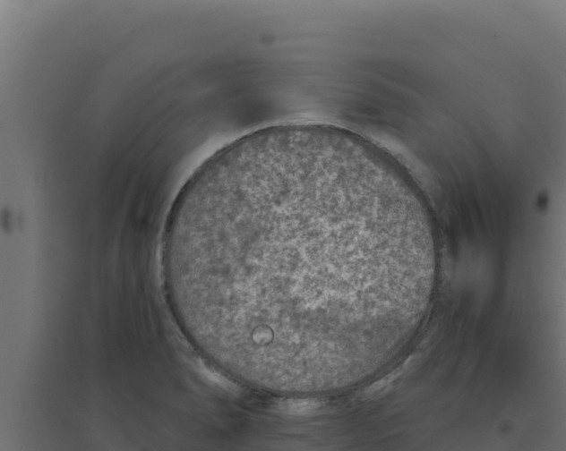 X0000094191278200711241607