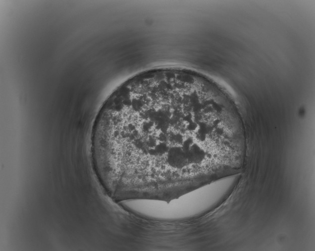 X0000094191279200711241607