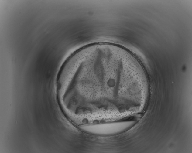 X0000094191280200711241607