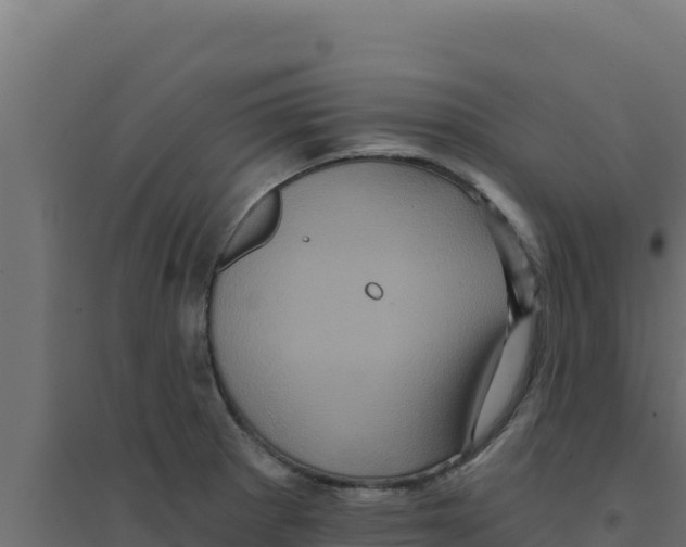 X0000094191281200711241607