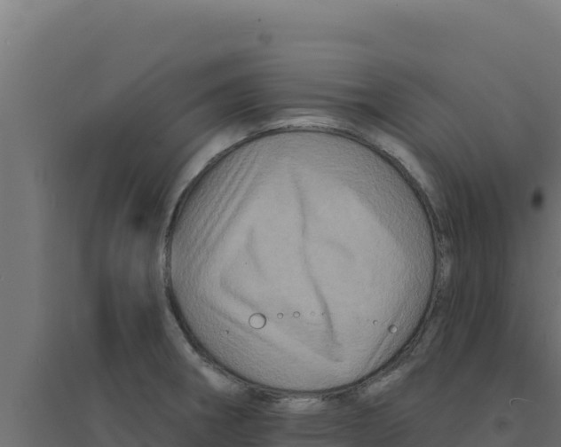 X0000094191282200711241607