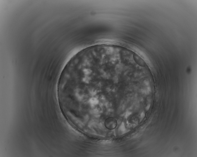 X0000094191283200711241607