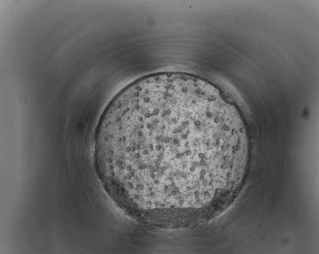 X0000094191284200711241607