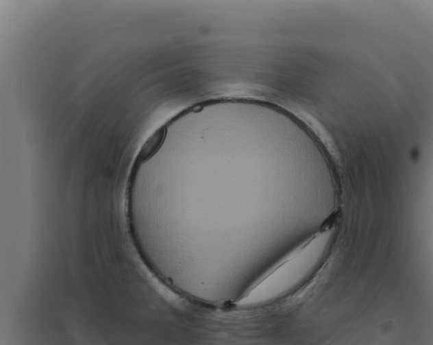 X0000094191285200711241607