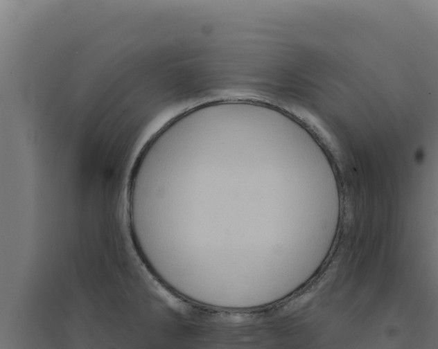 X0000094191286200711241607