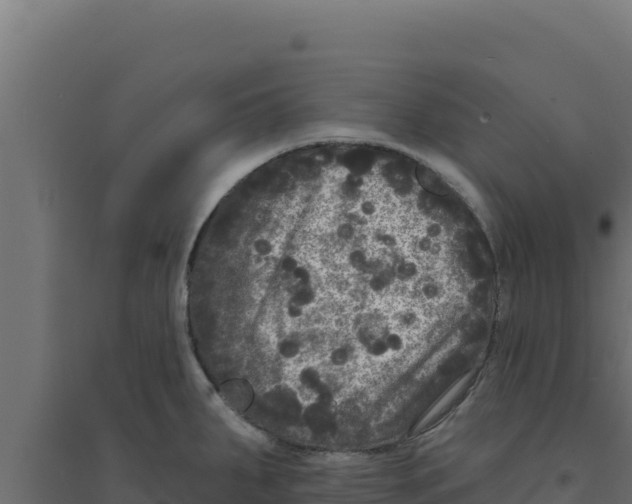 X0000094191287200711241607