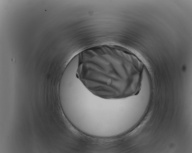 X0000094191289200711241607