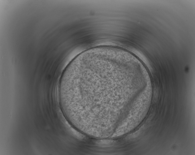 X0000094191290200711241607