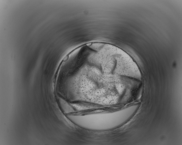 X0000094191292200711241607