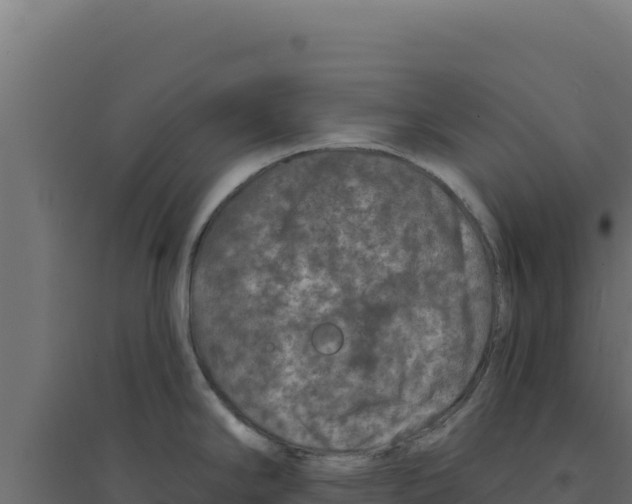 X0000094191294200711241607