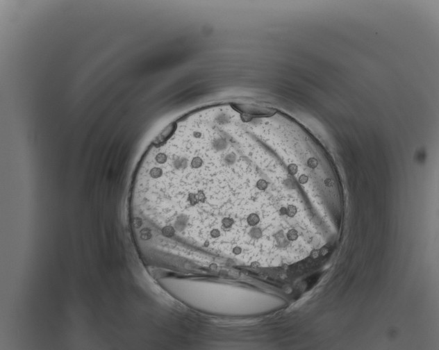 X0000094191296200711241607