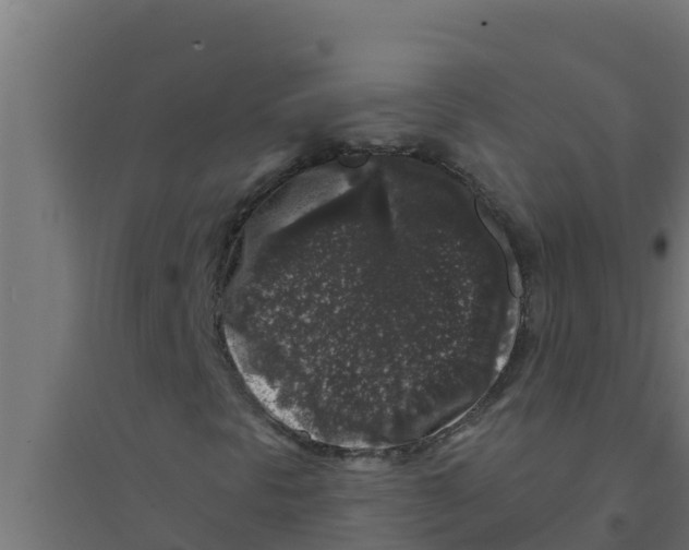 X0000094191297200711241606