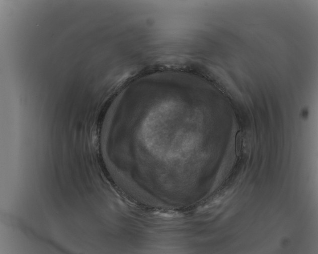 X0000094191298200711241606