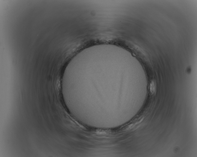 X0000094191299200711241606