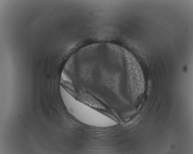 X0000094191300200711241606