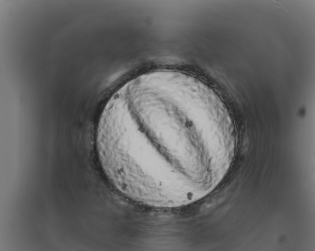 X0000094191301200711241606