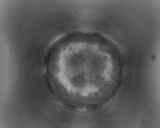 X0000094191302200711241606