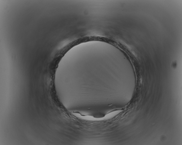 X0000094191303200711241606