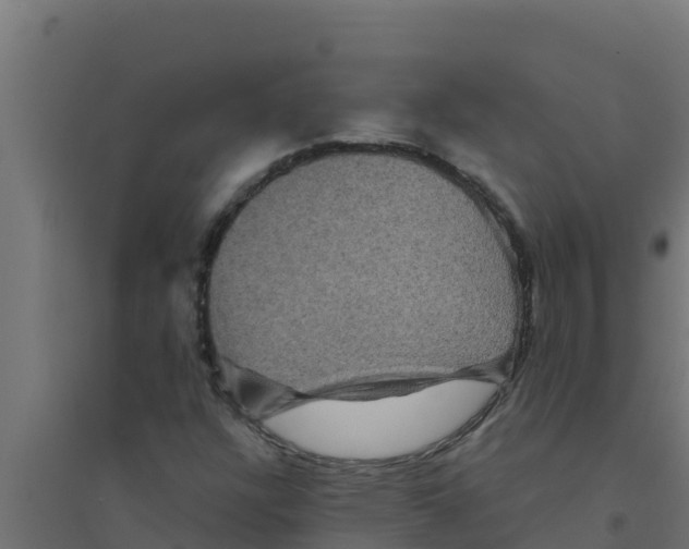 X0000094191304200711241606