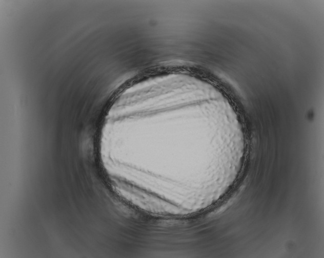 X0000094191305200711241606