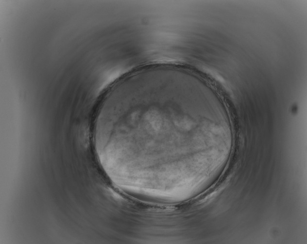 X0000094191306200711241606