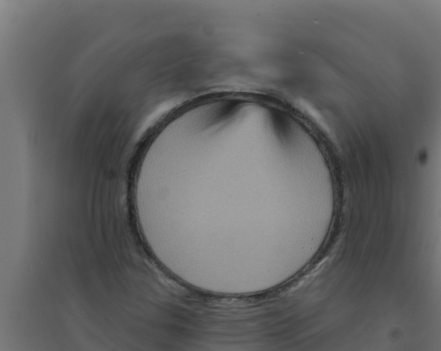 X0000094191307200711241606