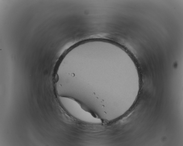 X0000094191308200711241606