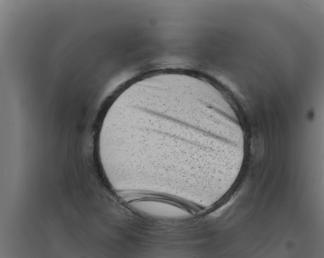 X0000094191309200711241606