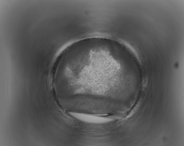 X0000094191310200711241606