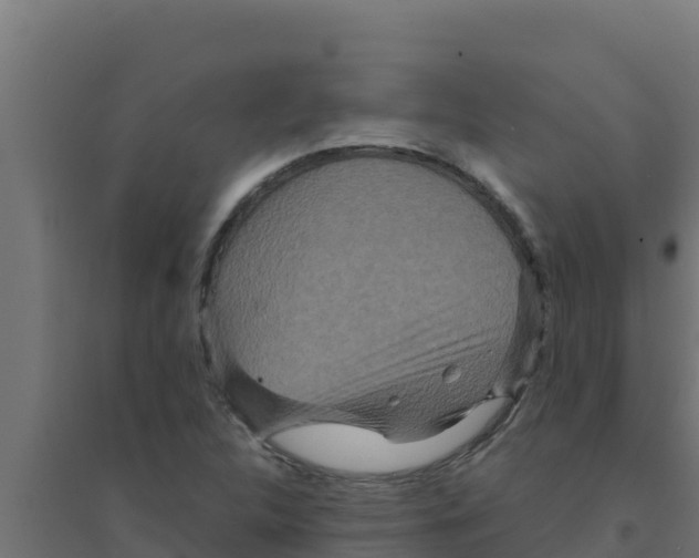 X0000094191312200711241606