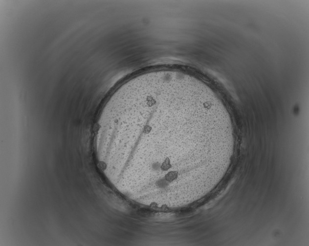 X0000094191313200711241606