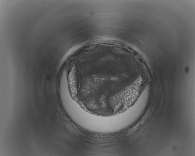 X0000094191314200711241606