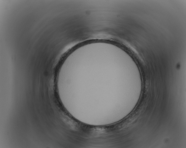 X0000094191315200711241606