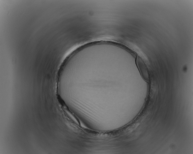 X0000094191316200711241606