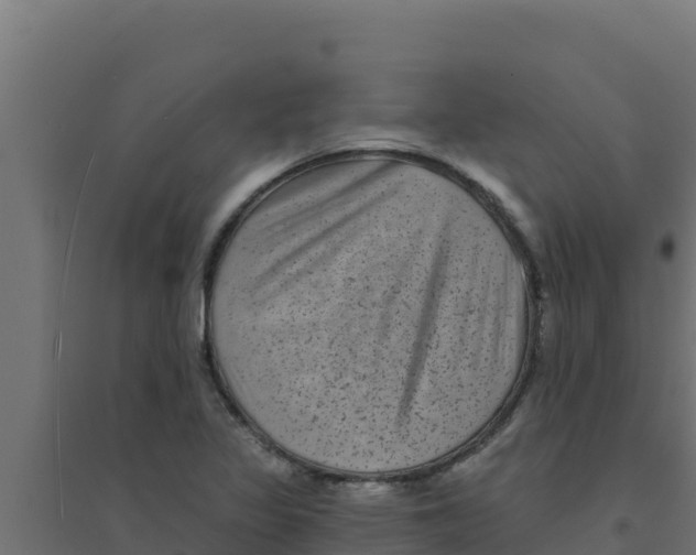 X0000094191317200711241606